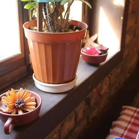 Tirilyenarçiçeğibutikotel